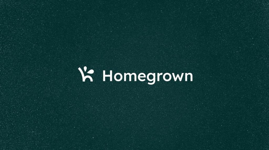 336012033 1627002291079129 7579438098872336304 N